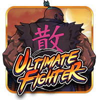 Ultimate fighter 