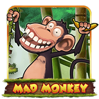 Mad Monkey H5